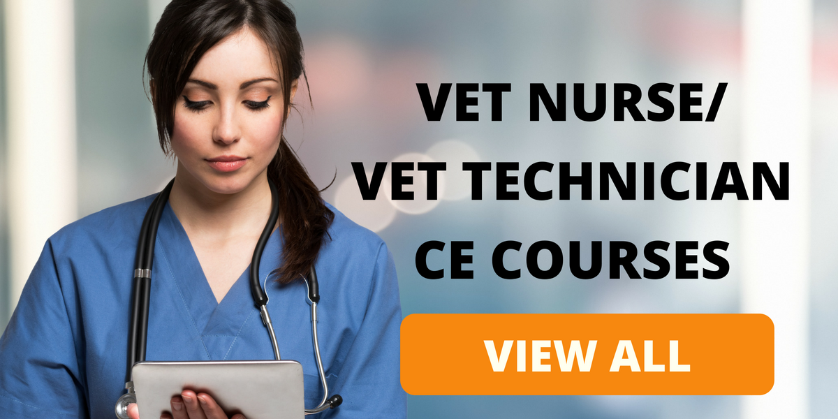 vet nurse-tech banner