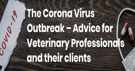 corona virus featured