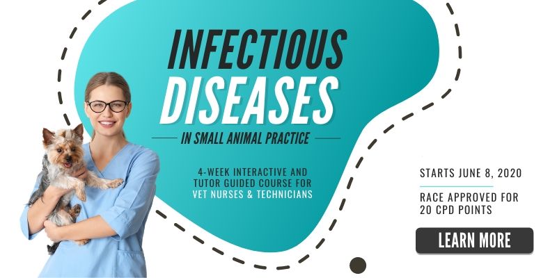 infectious-disease-course-2020-IMG