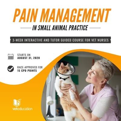 Pain-Management-Veted