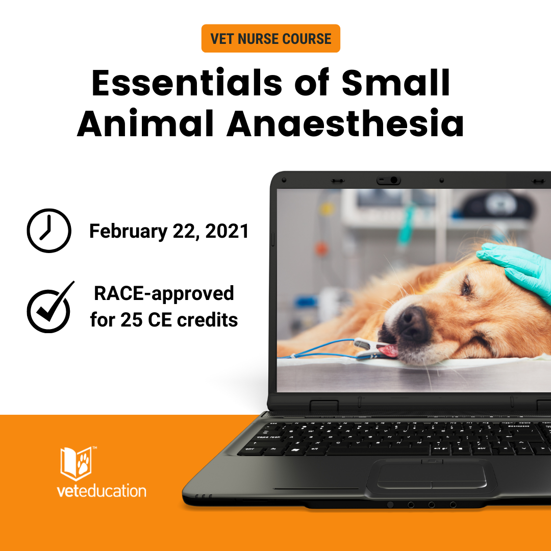 Webinar Recording - Management of Hypotension in Anaesthesia - Vet Education