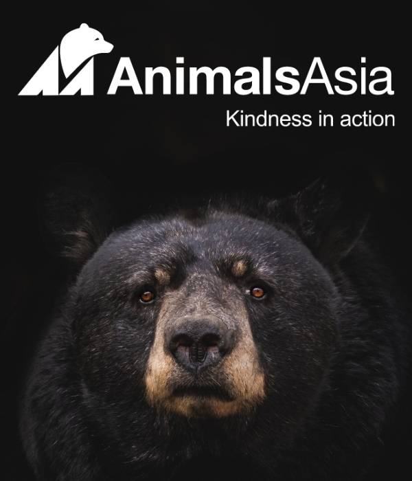 Animal Asia - Vet Education