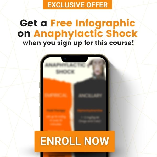 Free Infographic on Anaphylactic Shock - Offer Vet Education
