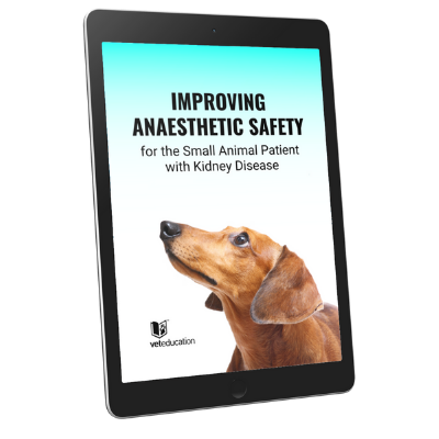 ebook Improving Anaesthetic Safety for the Small Animal Patient with Kidney Disease