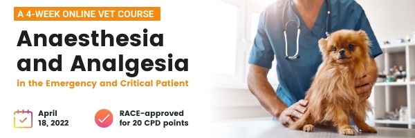Anaesthesia and Analgesia Course 2022